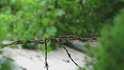 Rusty Sharp Barbed Wire Fence