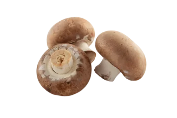 Fotobehang Three brown champignons or portobello mushrooms isolated transparent png. © photohampster