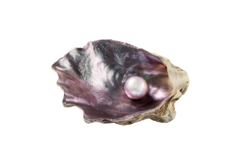 Pearl in the purple iridescent oyster shell isolated transparent png