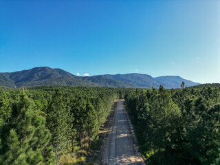 Fototapeta na wymiar Aerial photo of tropical road in the forrest with mountains and clear blue sky