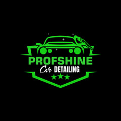 Auto Detailing Logo Design template