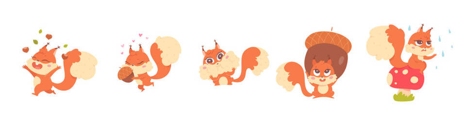 Cute squirrel actions set, fluffy squirrel playing with oak acorn, autumn nut harvest © backup_studio