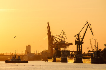 Obraz premium Cargo vessels and boats at Gdynia COntainer Terminal during the Sunset