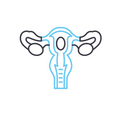 uterus line icon, outline symbol, vector illustration, concept sign