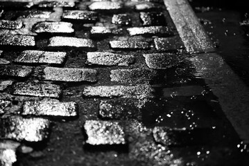 Rain on pavement stones close-up, black and white image