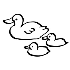 A simple duck and ducklings hand drawn icon 