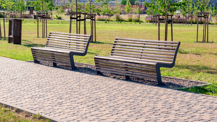 Wooden benches in the city park