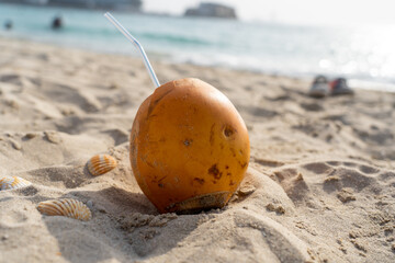 Coconut and seashells on the sandy beach