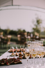 Celebration wedding Glasses Champaign 