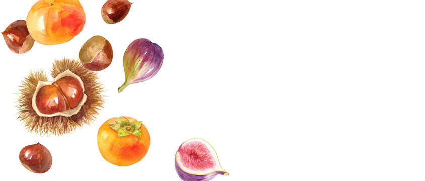 秋の食材：栗と柿とイチジクの俯瞰水彩イラストのアシンメトリーバナー背景。（透過背景）

