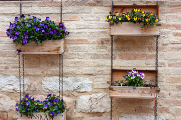 Fototapeta na wymiar old house with flowers planted in wine boxes