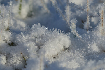 Ein kalter Wintermorgen mit Raureif	