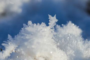 Ein kalter Wintermorgen mit Raureif	