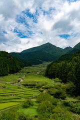 四谷の千枚田 ＠愛知, 新城