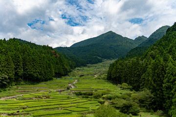 四谷の千枚田 ＠愛知, 新城