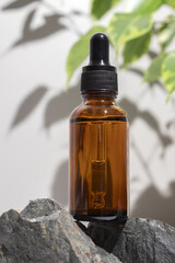 Cosmetic bottle serum, oil on stone stand with branch ficus on grey background. Natural cosmetics concept, skin care product. Beauty concept for face body care