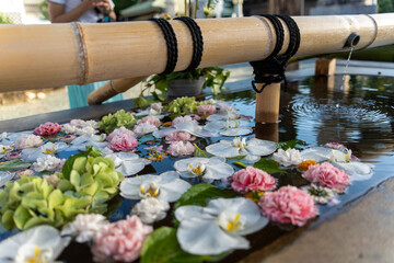 花と手水舎(昼)