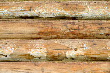og wall, log bath, log background, logs, pine cylindrical logs, tow, insulation, log joints, background, texture, construction, good resolution, old wood background