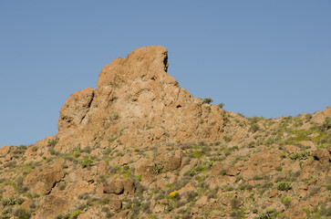 Fototapeta na wymiar Rocky cliff and slope. Chira. San Bartolome de Tirajana. Gran Canaria. Canary Islands. Spain.