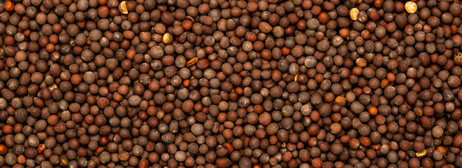 Mustard seed brown, spice close-up flat lay on a white background. Indian and Arabic spices for cooking. Medicinal herbs and spices.