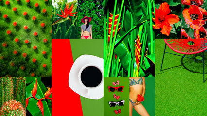 Set of trendy aesthetic photo collages. Minimalistic images of one top color.  Fashion tropical moodboard