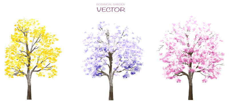 Vector watercolor blooming flower tree or forest side view isolated on white background for landscape and architecture drawing,elements for environment or and garden,botanical for section in spring   