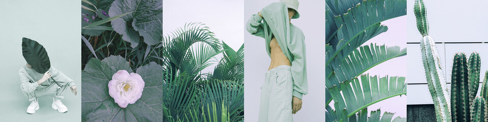 Set of trendy aesthetic photo collages. Minimalistic images of one top color. Plant Green eco...