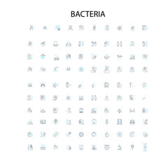 bacteria icons, signs, outline symbols, concept linear illustration line collection
