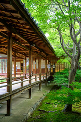 wooden japanese house and garden