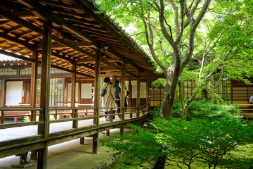 Fototapeta na wymiar wooden japanese house and garden