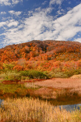 紅葉に染まる木々　湖　池