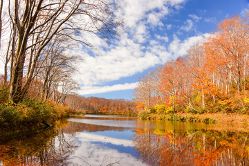 紅葉に染まる木々　湖　池