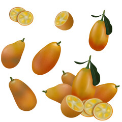 Kumquat big set of illustrations isolated on white background