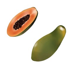 Papaya big set illustration isolated on white background	