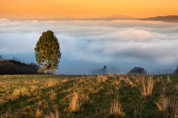 A foggy, autumn morning in the Pieniny Mountains with a view of the Babia Góra.
Mglisty, jesienny...