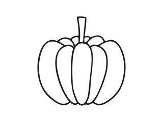 pumpkin fruits vector. line hand drawing art.