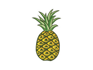 fresh pineapple fruits vector isolated