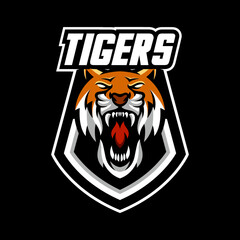 tiger head logo illustration sport and e sport mascot logo, vector animal sports team logo