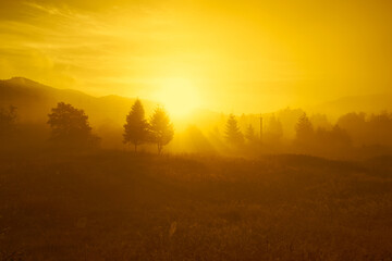 Beautiful sunrise in the mountains, coniferous trees, and fog. Ukraine. The Carpathians. Travels. Rest in nature. Nature.