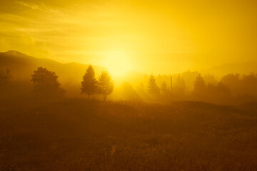 Beautiful sunrise in the mountains, coniferous trees, and fog. Ukraine. The Carpathians. Travels. Rest in nature. Nature.