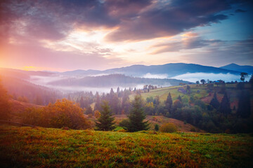 Impressive evening countryside landscape with morning mist. Carpathian mountains, Ukraine, Europe.