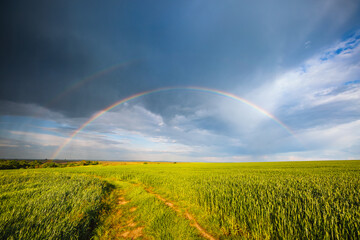 Tranquil agricultural landscape with a magical rainbow at sunset. Ukraine, Europe.