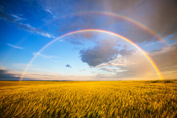 Tranquil agricultural landscape with a magical rainbow at sunset. Ukraine, Europe. - Powered by Adobe