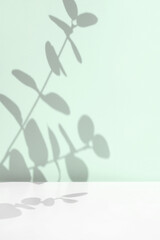 Plant shadows on neutral color wall. Leaves shadow background. Branches, flowers and foliage on pastel studio background. Product presentation, Minimal mock up for advertising. Trendy Overlay effect