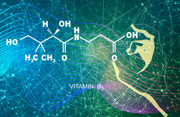 Hand holding chemical molecular formula of vitamin B5 pantothenic acid.