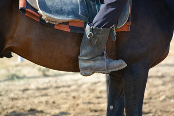 Fragment of horse and human legs. Baige competition. Kazakhstan.
