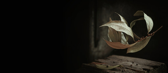 Art autumn still life of dried branch with bay leaves and spices in a rustic style on a dark wooden background. Autumnal composition for Thanksgiving Day