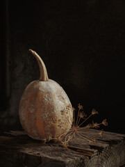 Art autumn Pumpkin and dried flowers thanksgiving still life in a rustic style on a dark wooden...