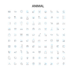 animal icons, signs, outline symbols, concept linear illustration line collection