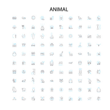 animal icons, signs, outline symbols, concept linear illustration line collection